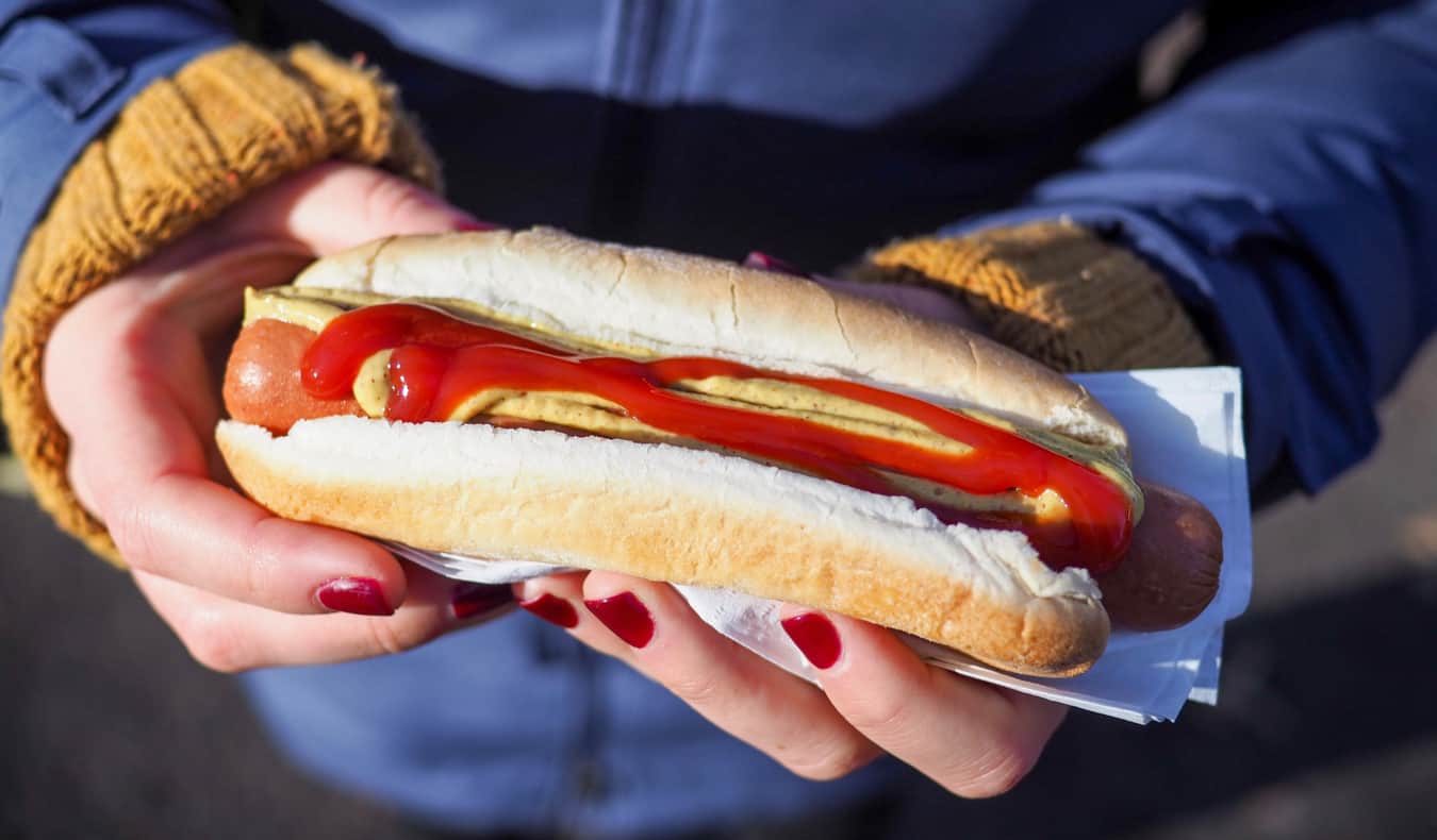 Cachorro de rua em Nova York, EUA, com ketchup e mostarda