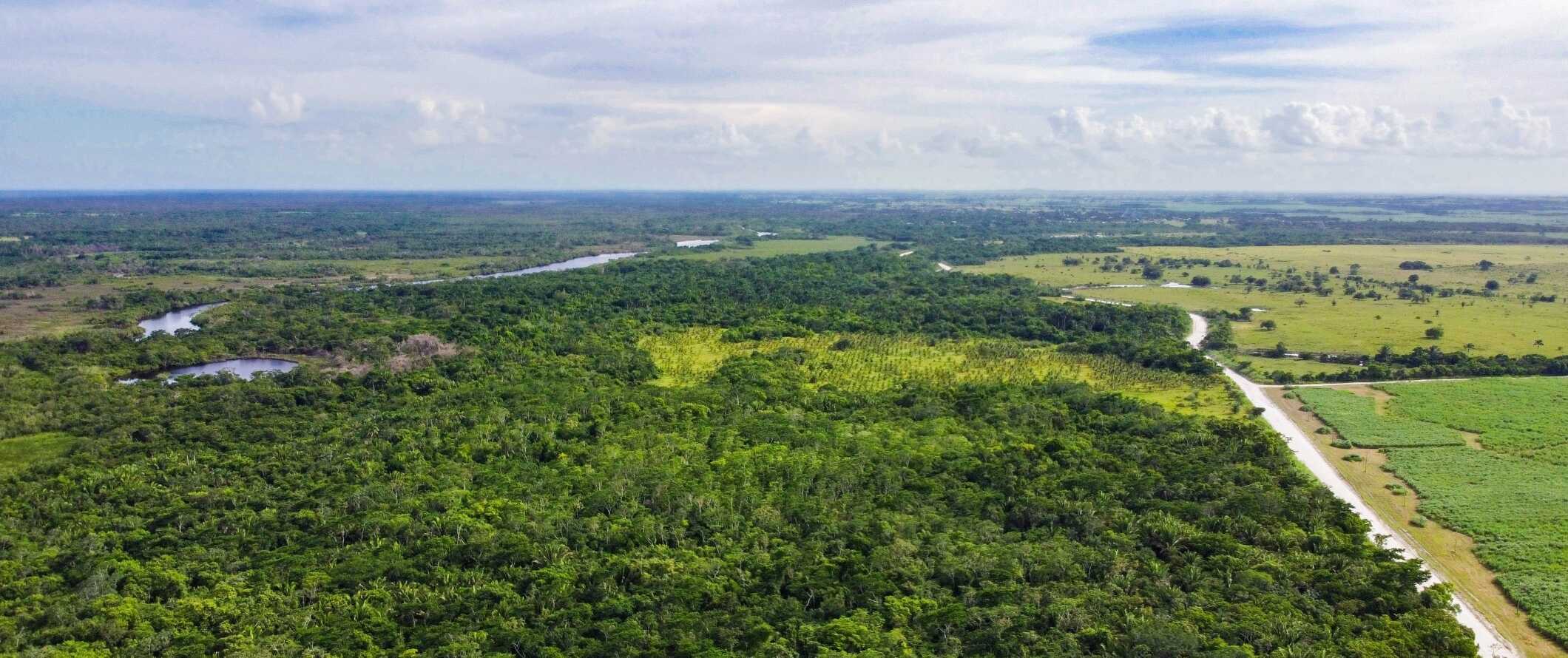 Vista do drone para as paisagens exuberantes do Orange-Eolk em Belize