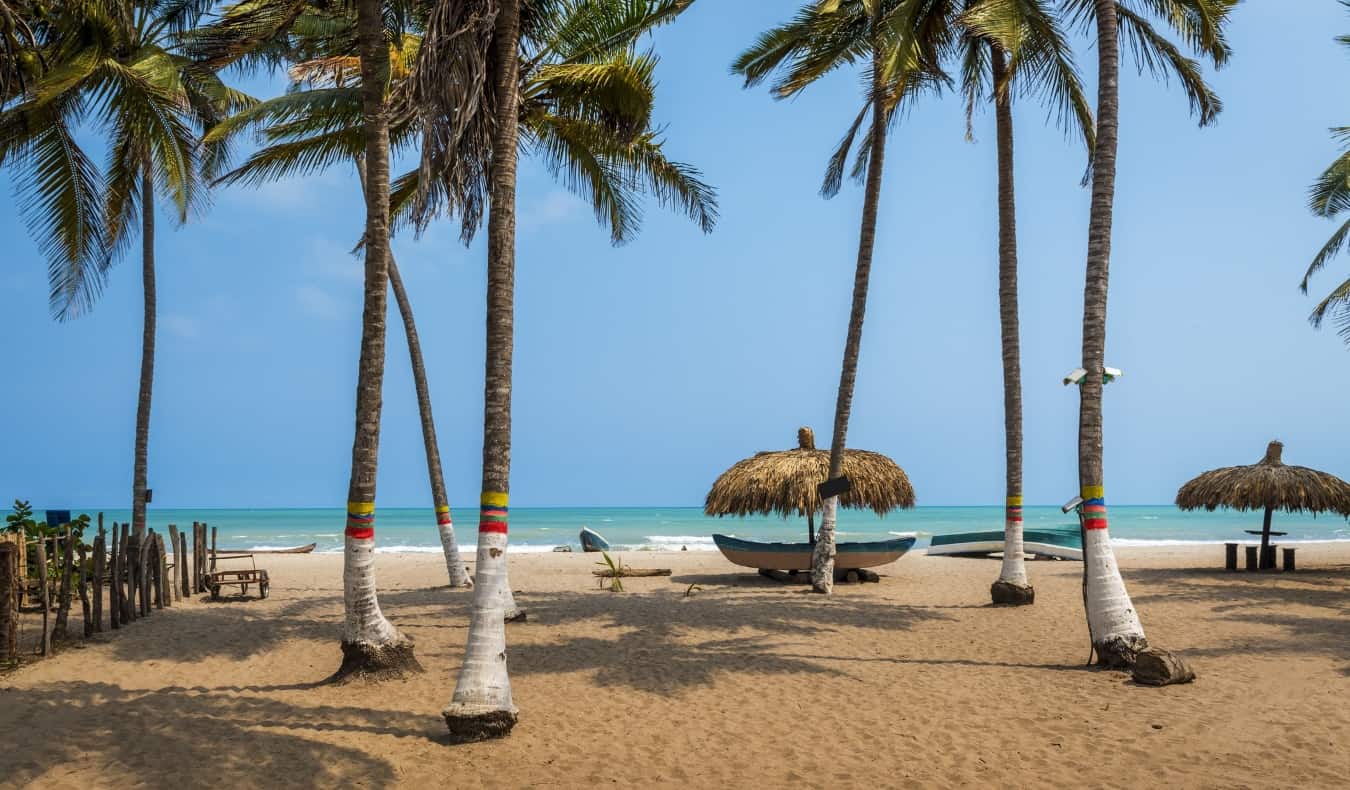 Praia deserta coberta de palmeiras na cidade de Palomino, na Colômbia