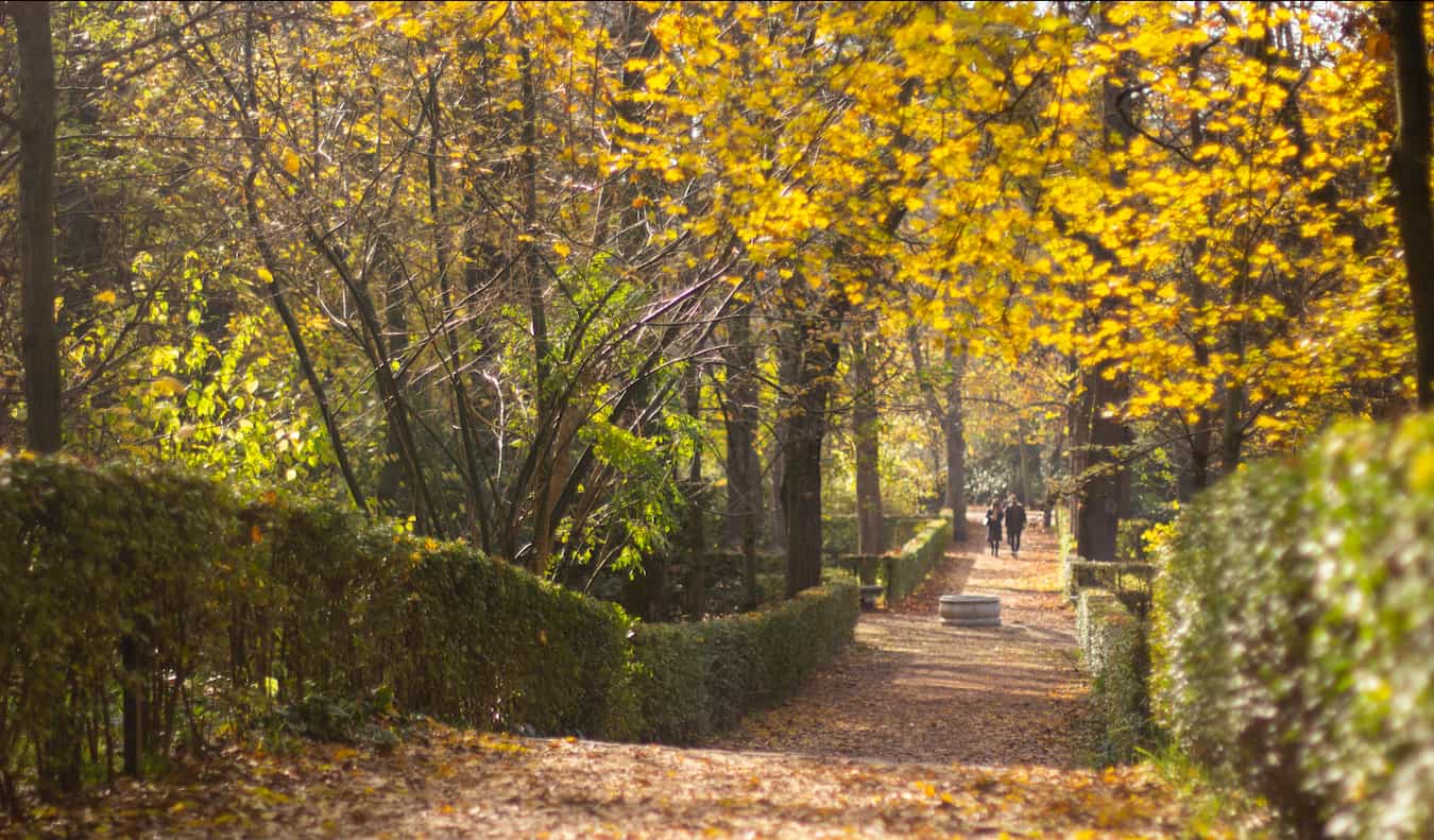 Listou o Park Retiro no outono em Madri, Espanha