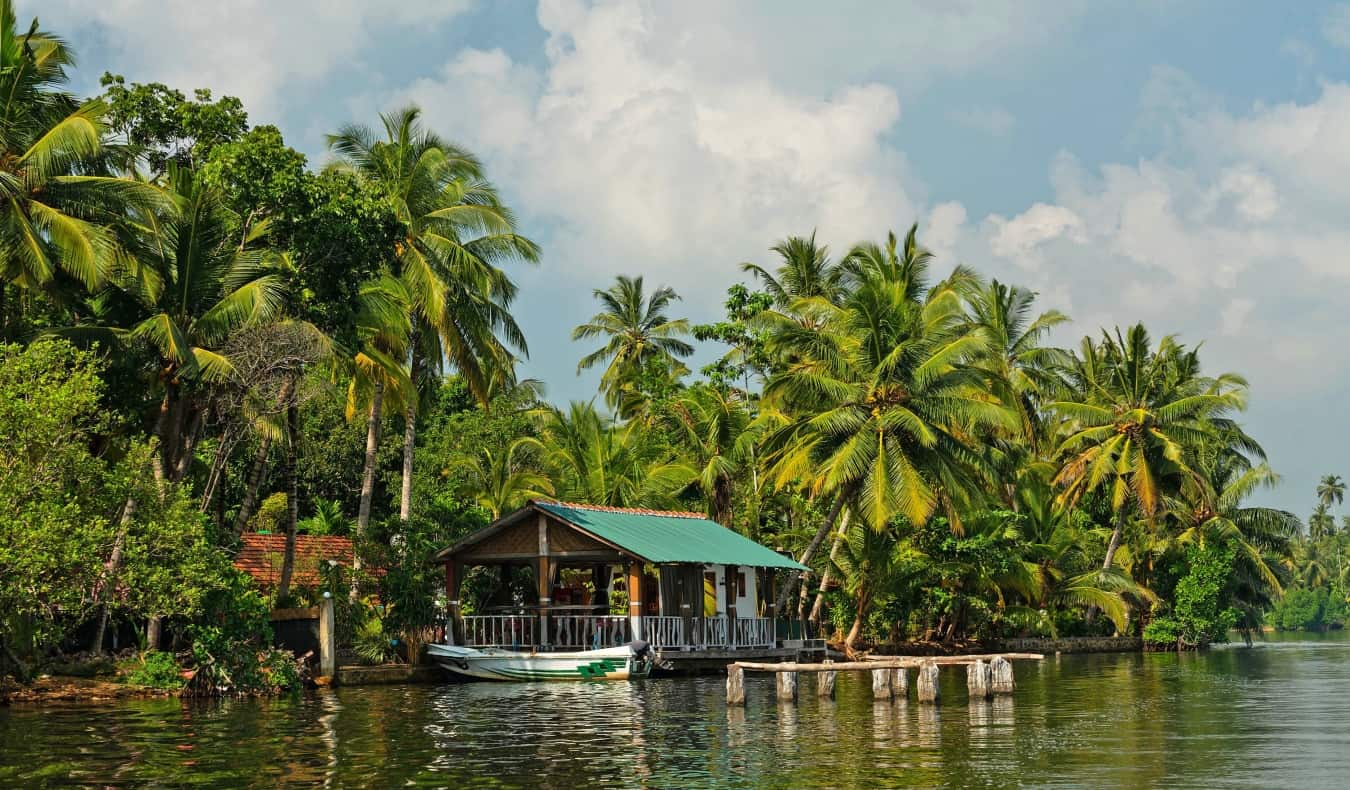 Barco de palha cercado por palmeiras no Sri Lanka