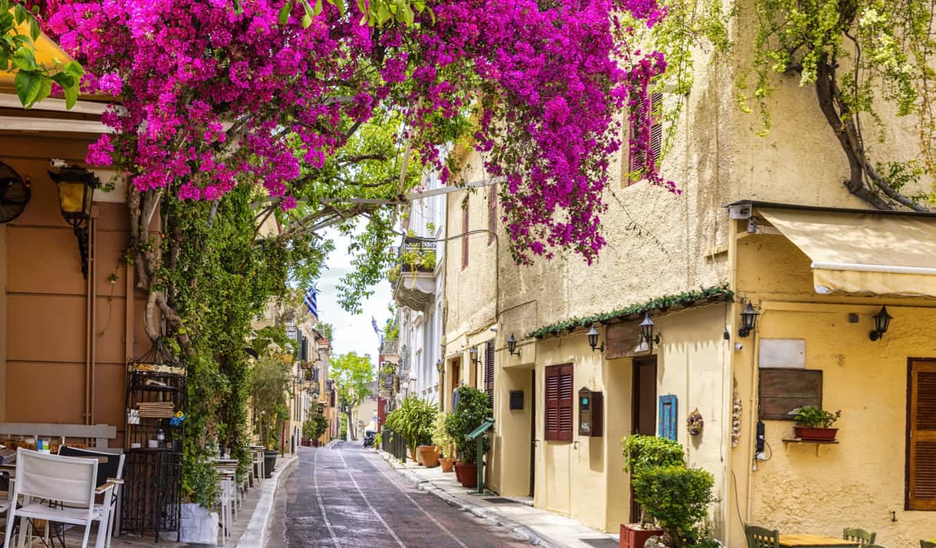 Uma rua estreita encantadora com verduras e árvores em um port a-malas, Atenas