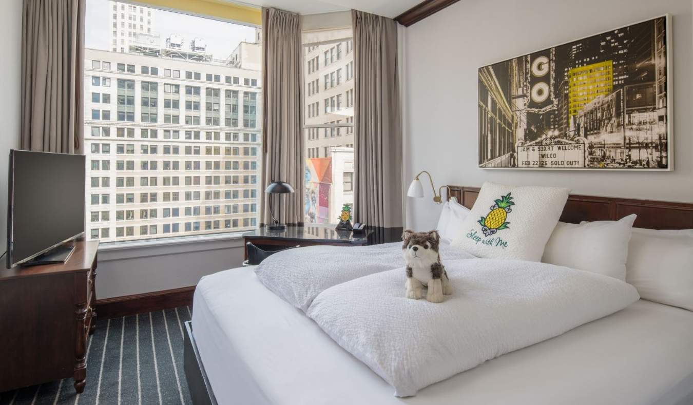Quarto de hóspedes do hotel Staypineapple em Chicago, com um cachorro de pelúcia na cama e uma grande janela com vista para os arranha-céus da cidade
