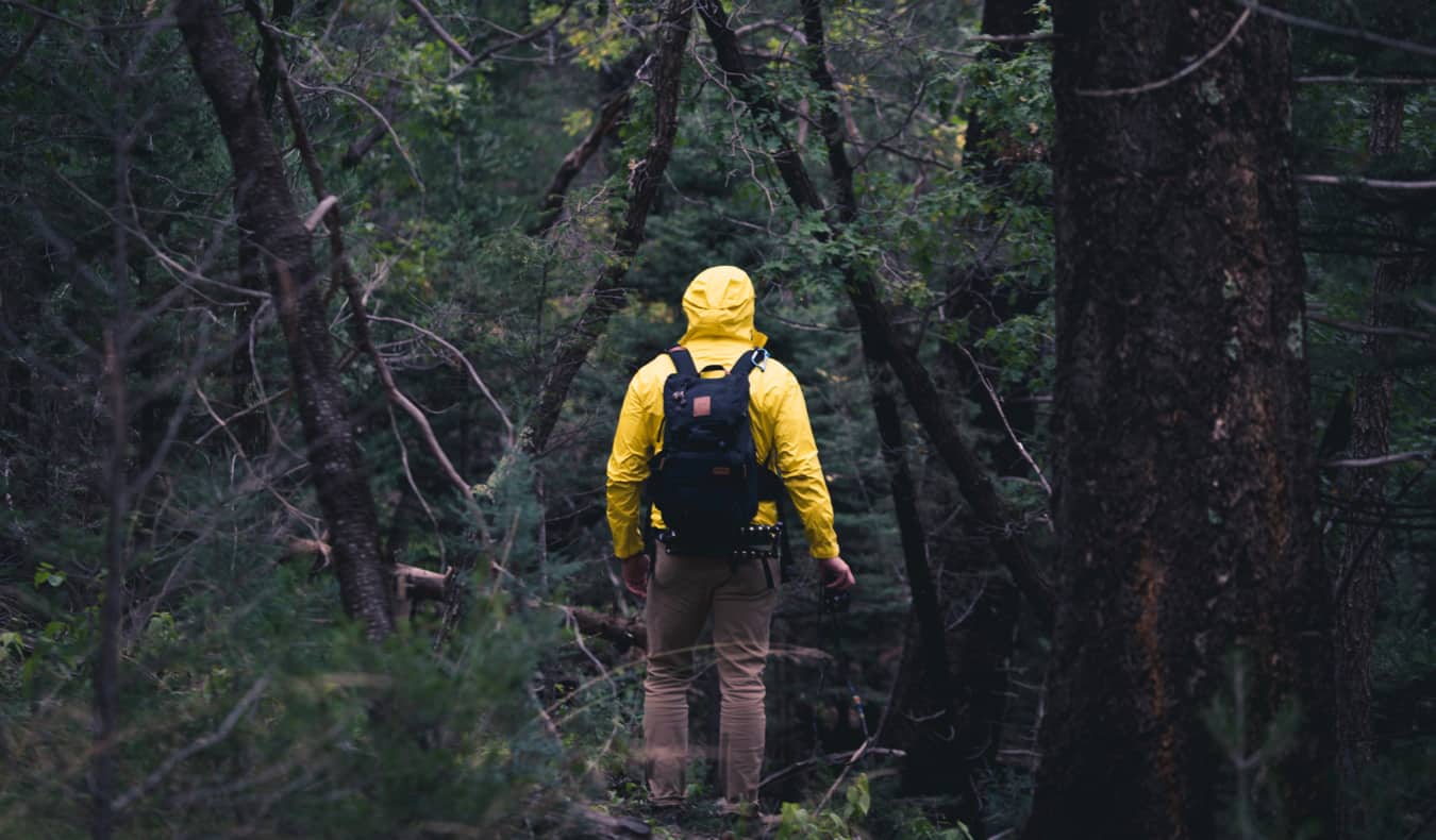 Um homem caminha pela floresta