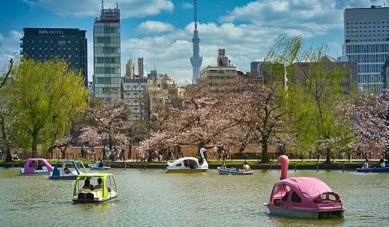 Pessoas no lago se divertem no parque Weno em Tóquio, Japão