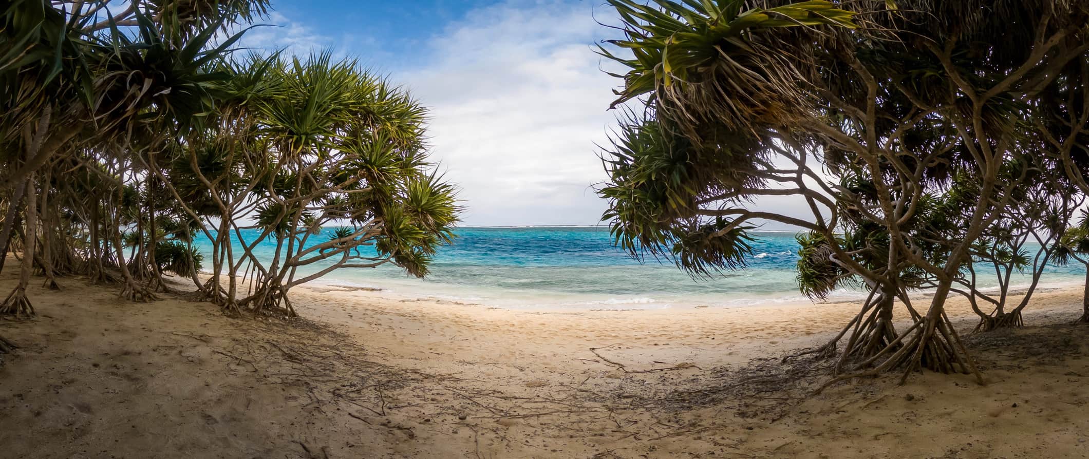Praia de areia branca em Vanuatu com águas cristalinas e plantas tropicais emoldurando a vista