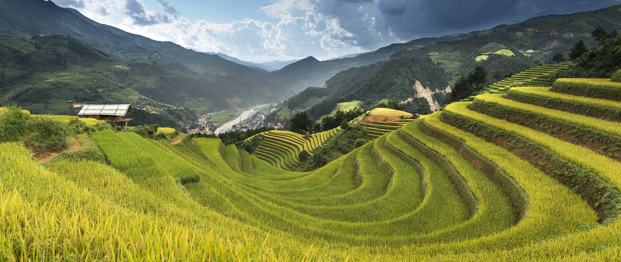 Terraços de arroz no Vietnã cercados por colinas e montanhas em um dia ensolarado