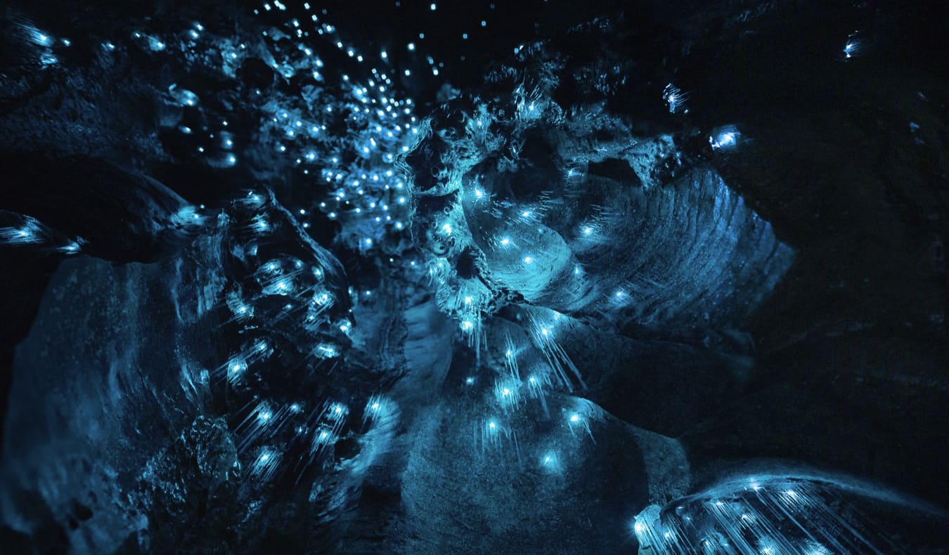 Vista mágica da caverna dos vermes luminosos de Whitomo