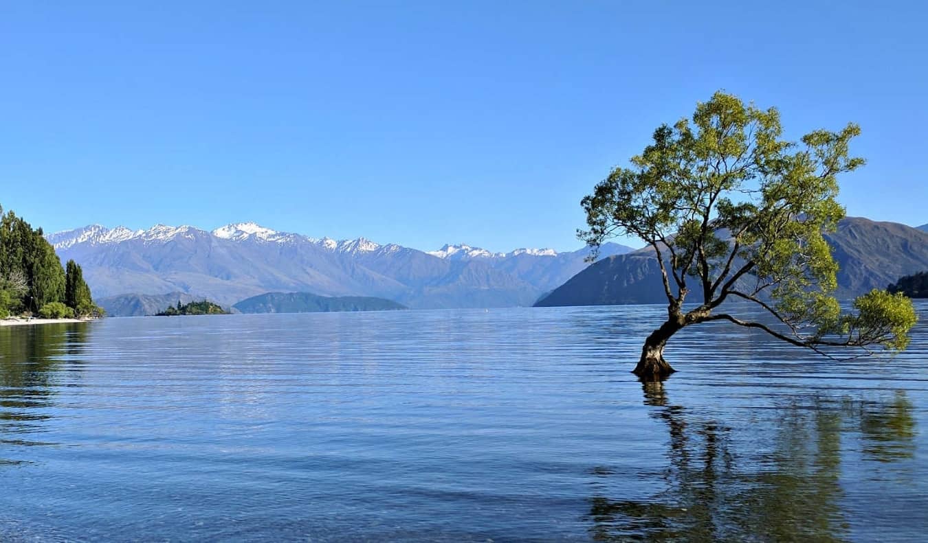 A famosa árvore na água do lago Vanaka com montanhas cobertas de neve ao fundo na cidade de Vanaka, Nova Zelândia