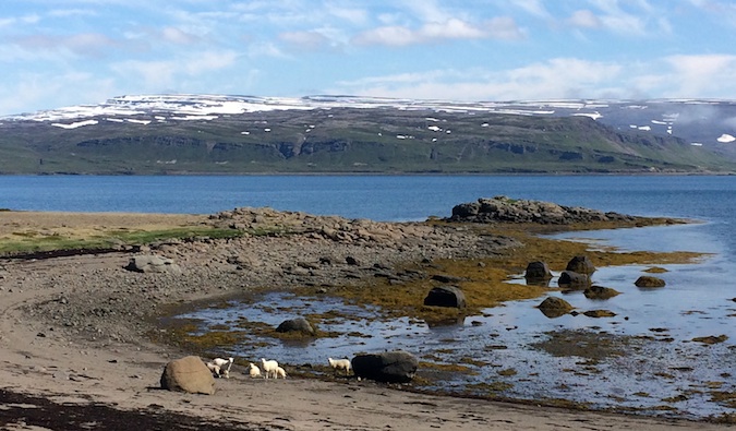 Lindos lagos e montanhas em Westfjords na Islândia
