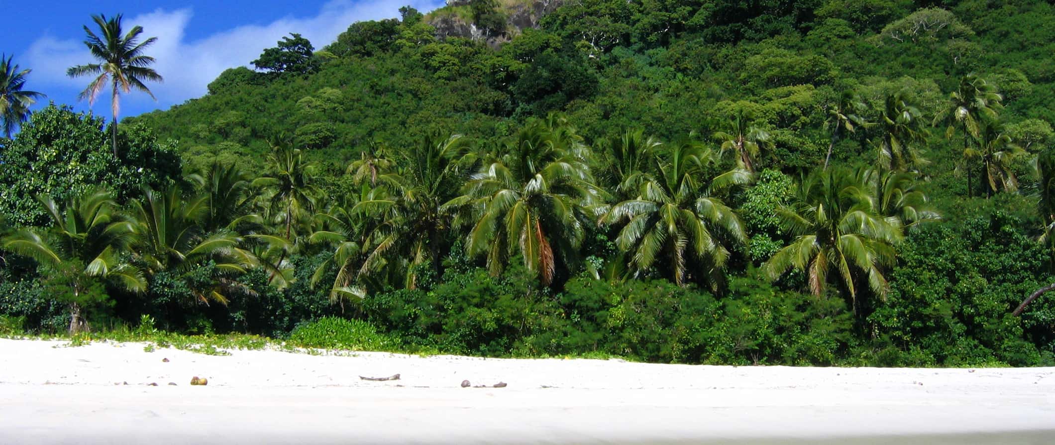 Vista da magnífica selva verde ao longo da costa solar das Ilhas Yasawa em Fiji