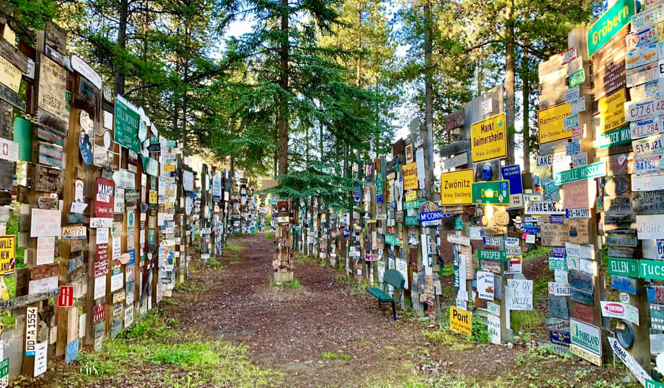 Sinais mult i-coloridos na floresta de sinais em Yuon, Canadá