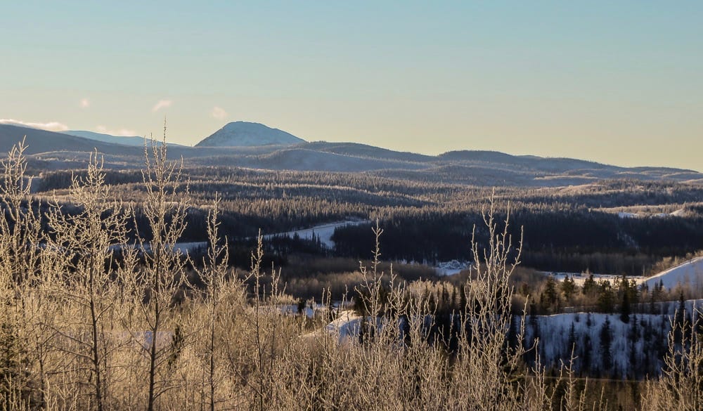 Floresta de inverno e colinas nas proximidades de Faro, Yukon, Canadá